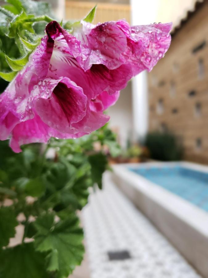 Casa Carmen Hotel San Cristóbal de Las Casas Eksteriør billede